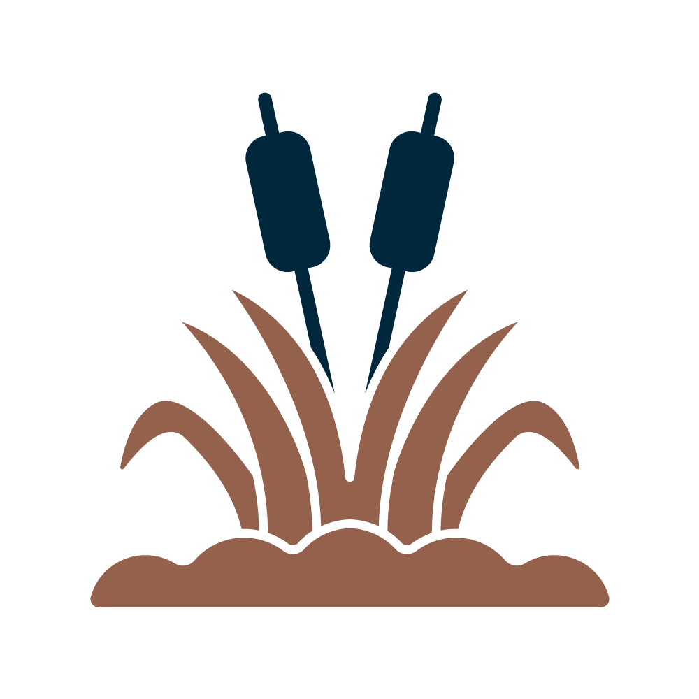 https://rondevenezuela.com/wp-content/uploads/2026/04/HOME-C.-Malezas.png