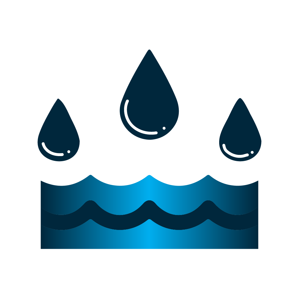 https://rondevenezuela.com/wp-content/uploads/2026/07/RDV-WEB-Home_HOME-Caracteristicas-4.png