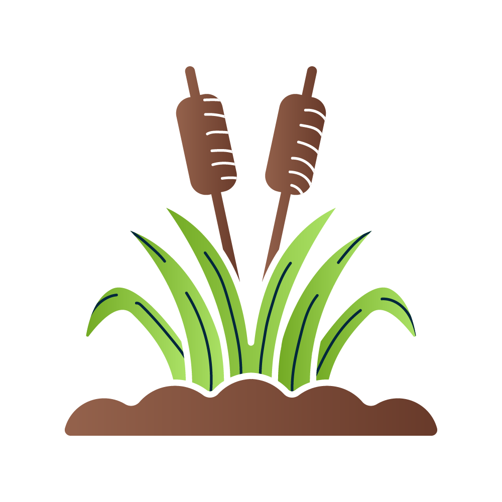 https://rondevenezuela.com/wp-content/uploads/2026/07/RDV-WEB-Home_HOME-Caracteristicas-5.png
