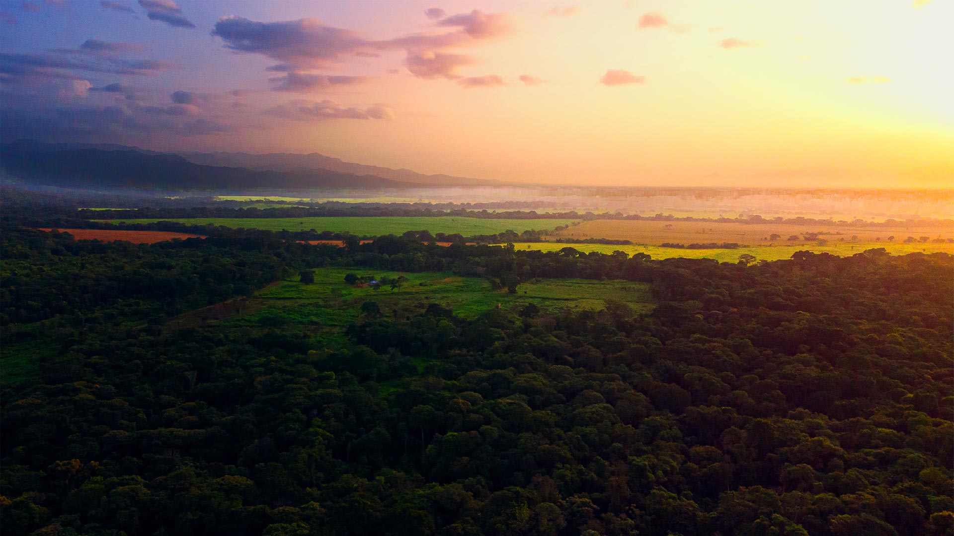 https://rondevenezuela.com/wp-content/uploads/2026/07/RDV-WEB-Home_HOME-Header.jpg
